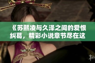 《苏熙凌与久泽之间的爱恨纠葛，精彩小说章节尽在这里》