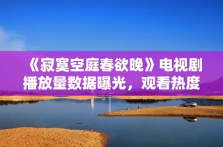 《寂寞空庭春欲晚》电视剧播放量数据曝光，观看热度持续攀升