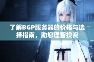 了解BGP服务器的价格与选择指南，助您理智投资