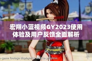 宏翔小蓝视频GY2023使用体验及用户反馈全面解析