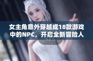 女主角意外穿越成18款游戏中的NPC，开启全新冒险人生