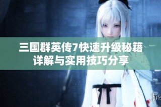 三国群英传7快速升级秘籍详解与实用技巧分享
