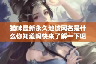 猫咪最新永久地域网名是什么你知道吗快来了解一下吧