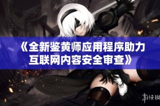 《全新鉴黄师应用程序助力互联网内容安全审查》