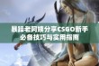 暴躁老阿姨分享CSGO新手必备技巧与实用指南