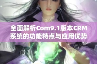 全面解析Com9.1版本CRM系统的功能特点与应用优势