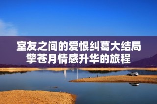 室友之间的爱恨纠葛大结局擎苍月情感升华的旅程