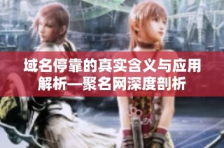 域名停靠的真实含义与应用解析—聚名网深度剖析