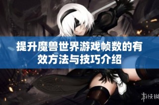 提升魔兽世界游戏帧数的有效方法与技巧介绍