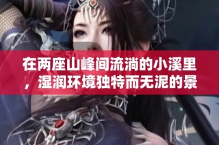 在两座山峰间流淌的小溪里，湿润环境独特而无泥的景致