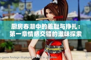 厨房春潮中的羞耻与挣扎：第一章情感交错的滋味探索