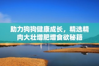 助力狗狗健康成长，精选精肉大壮增肥增食欲秘籍