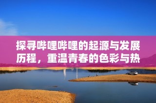 探寻哔哩哔哩的起源与发展历程，重温青春的色彩与热血
