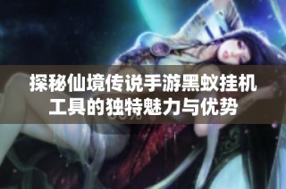 探秘仙境传说手游黑蚁挂机工具的独特魅力与优势