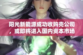阳光新能源成功收购壳公司，或即将进入国内资本市场