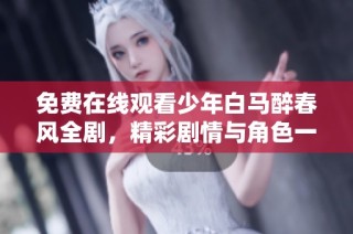 免费在线观看少年白马醉春风全剧，精彩剧情与角色一网打尽