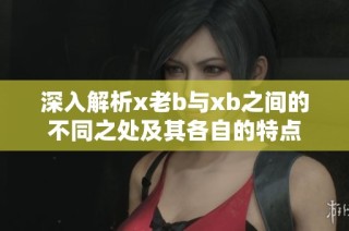 深入解析x老b与xb之间的不同之处及其各自的特点
