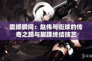 震撼瞬间：赵伟与街球的传奇之路与脚踝终结技艺