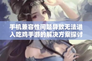 手机兼容性问题导致无法进入吃鸡手游的解决方案探讨