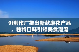 9i制作厂推出新款麻花产品，独特口味引领美食潮流