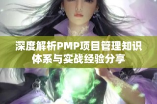 深度解析PMP项目管理知识体系与实战经验分享