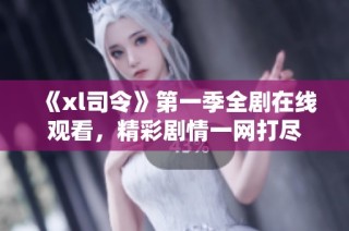 《xl司令》第一季全剧在线观看，精彩剧情一网打尽