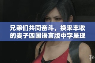 兄弟们共同奋斗，换来丰收的麦子四国语言版中字呈现