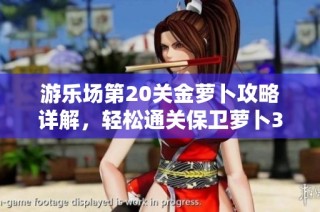 游乐场第20关金萝卜攻略详解，轻松通关保卫萝卜3秘籍分享