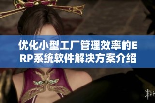 优化小型工厂管理效率的ERP系统软件解决方案介绍