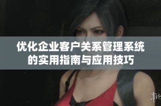 优化企业客户关系管理系统的实用指南与应用技巧