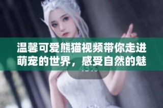 温馨可爱熊猫视频带你走进萌宠的世界，感受自然的魅力与乐趣