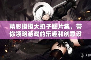 精彩摸摸大扔子图片集，带你领略游戏的乐趣和创意设计