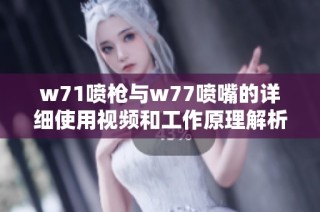 w71喷枪与w77喷嘴的详细使用视频和工作原理解析