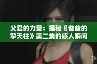父爱的力量：揭秘《爸爸的擎天柱》第二集的感人瞬间与感悟
