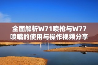 全面解析W71喷枪与W77喷嘴的使用与操作视频分享