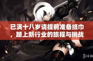 已满十八岁请提前准备纸巾，踏上新行业的旅程与挑战