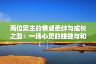 两位男主的情感牵绊与成长之路：一场心灵的碰撞与和解