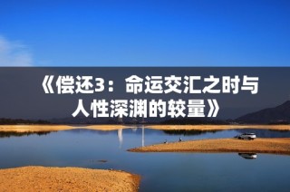 《偿还3：命运交汇之时与人性深渊的较量》