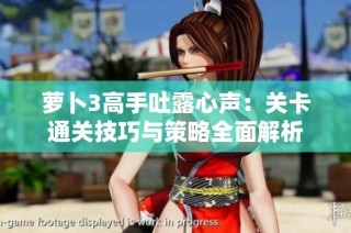 萝卜3高手吐露心声：关卡通关技巧与策略全面解析