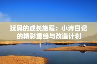 玩具的成长旅程：小诗日记的精彩重绘与改造计划