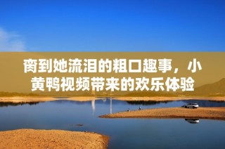 脔到她流泪的粗口趣事，小黄鸭视频带来的欢乐体验