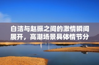 白洁与赵振之间的激情瞬间展开，高潮场景具体情节分析章节总结