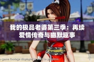 我的极品老婆第三季：再续爱情传奇与幽默趣事