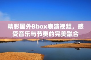 精彩国外Bbox表演视频，感受音乐与节奏的完美融合