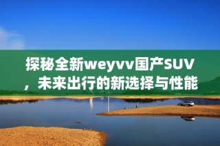 探秘全新weyvv国产SUV，未来出行的新选择与性能解析