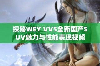 探秘WEY VV5全新国产SUV魅力与性能表现视频