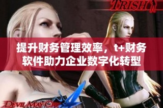 提升财务管理效率，t+财务软件助力企业数字化转型