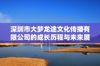深圳市大梦龙途文化传播有限公司的成长历程与未来展望解析