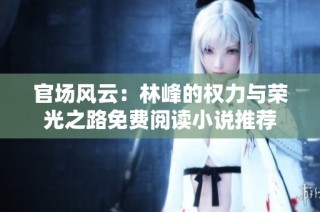 官场风云：林峰的权力与荣光之路免费阅读小说推荐