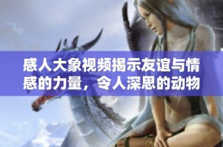 感人大象视频揭示友谊与情感的力量，令人深思的动物故事